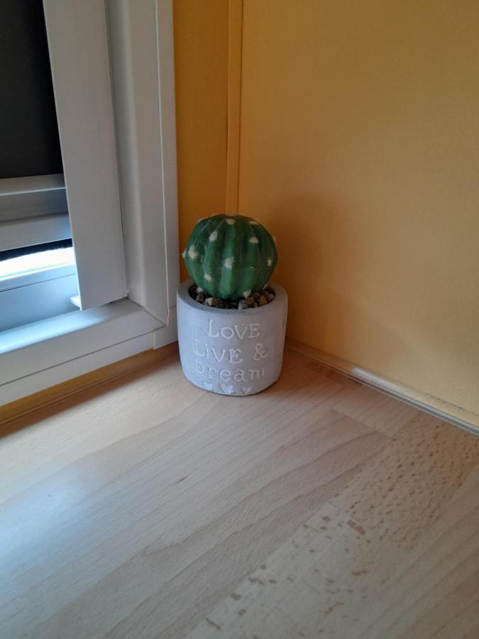 A Casinha Da Aguieira Na Lands Hause L6 Lejlighed Burinhosa Eksteriør billede